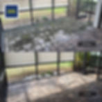 Before and after a lanai and screen enclosure cleaning Parrish FL