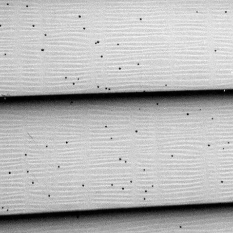 artillery fungus black spots on vinyl siding in Bradenton FL