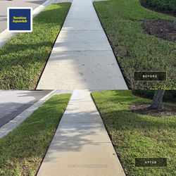 Oak Tree Tannin Stain Removal from Sidewalk in Lakewood Ranch, FL