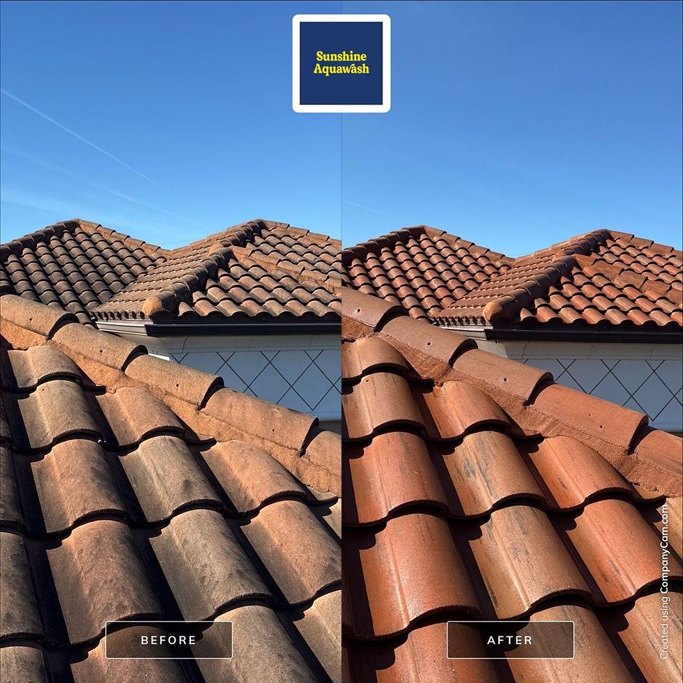Before and After a Tile Roof Cleaning in Palmetto, FL