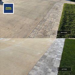 Fertilizer Rust Stain Removal in Park East at Azario, Lakewood Ranch, FL 34211