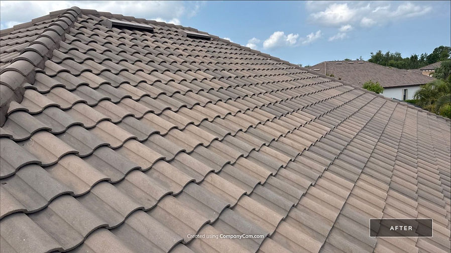 After Roof Cleaning Soft Wash Treatment in Palmetto FL by Sunshine AquaWash