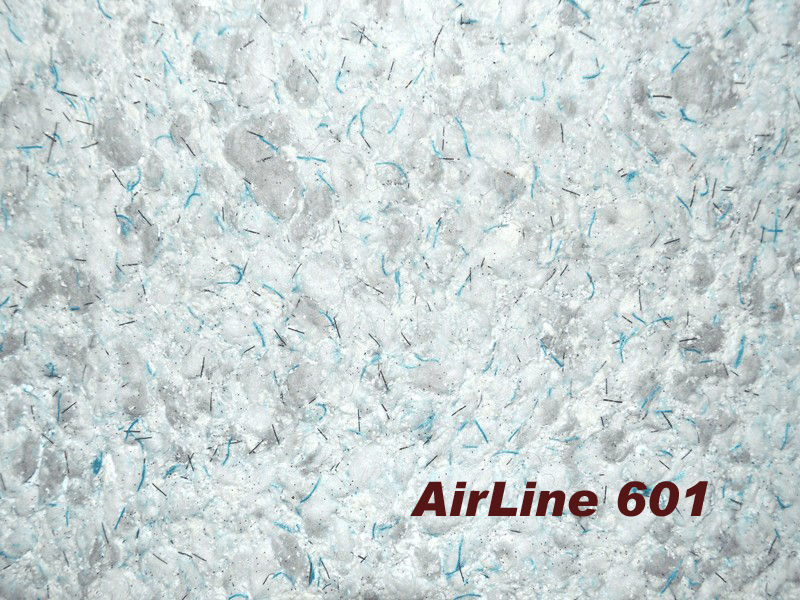 AIRLINE 601