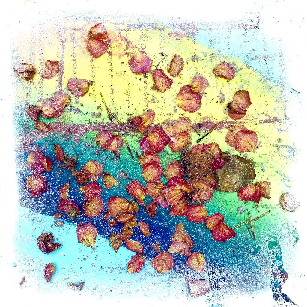 Birds & Bees - PRINT