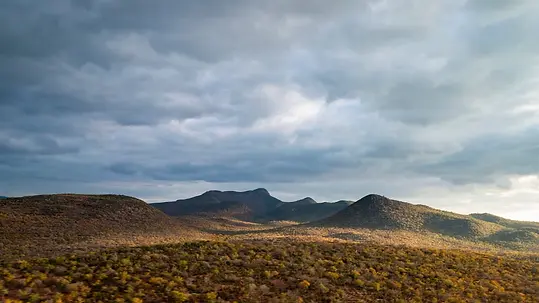 Landscape.webp