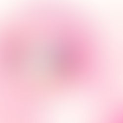 What to Expect from Vintage Shojo Princess