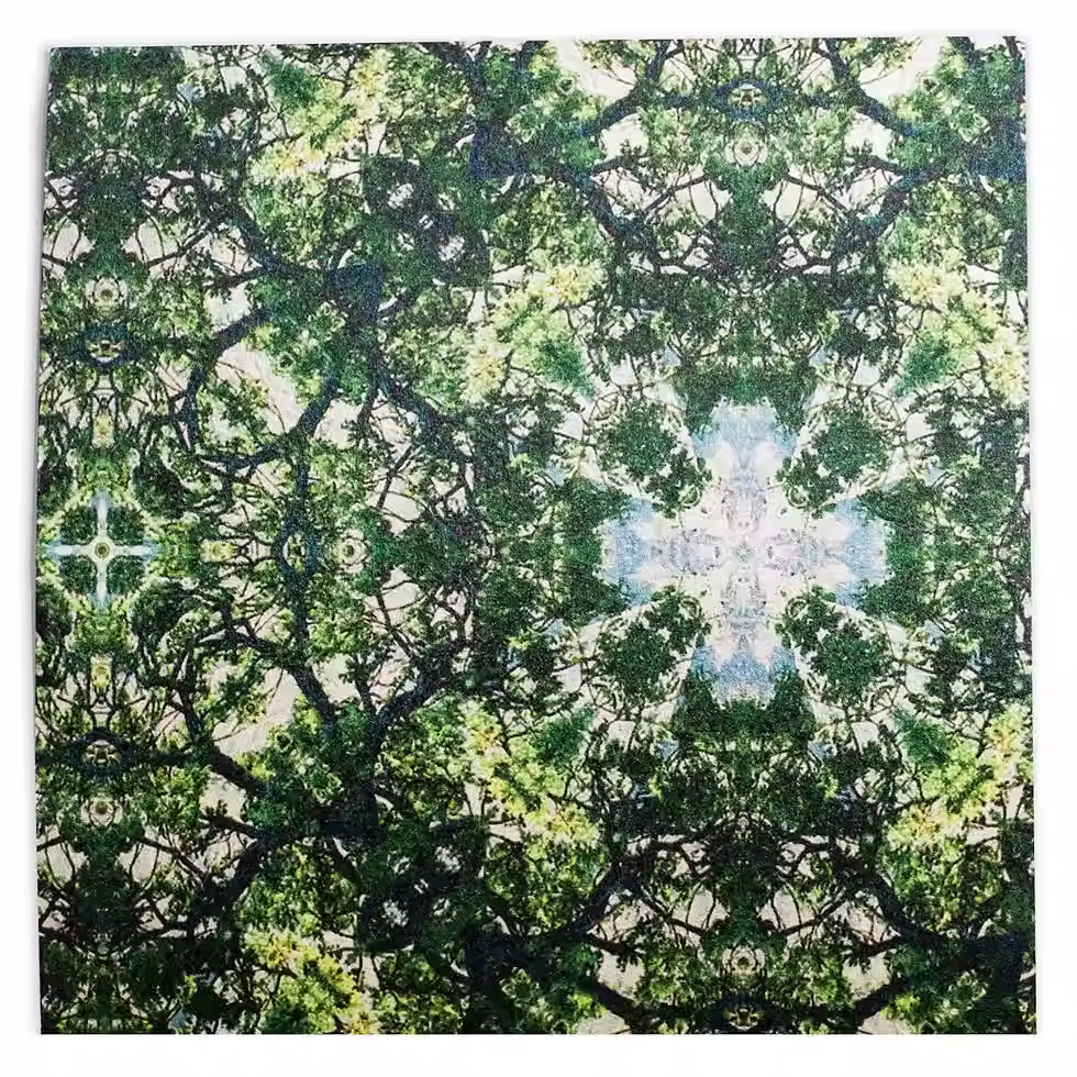 Iona Crawford - Wilderness