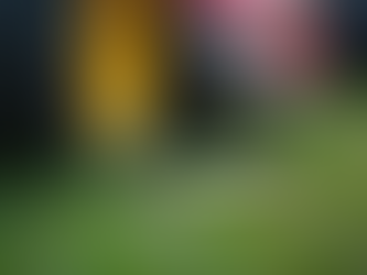 Reliable Mower Repair Fairfax: Top Lawn Mower Repair Services in Fairfax