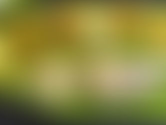 Kerala Cuisine is Not What You Think - And that's exactly why we love it.