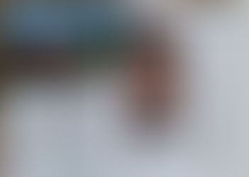 60 jaar Nieuw-Guinea-Nederland in Hoogeveen