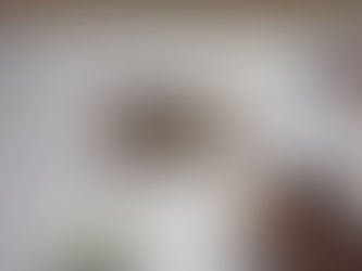 Derde generatie brengt ode aan 60 jaar Nieuw-Guinea-migranten | Deel 1