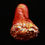 Thumbnail: Human Tongue