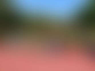 NYLP Club Joins the Freedom Run 2025