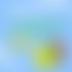 Lithuania calling: pokalbis su Lietuvos darbdaviais