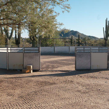 The exterior view of a round horse arena with the gate open, shaded by a green palo verde tree