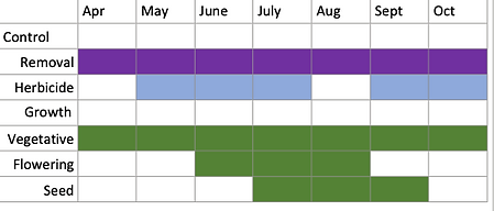 canada thistle info.png
