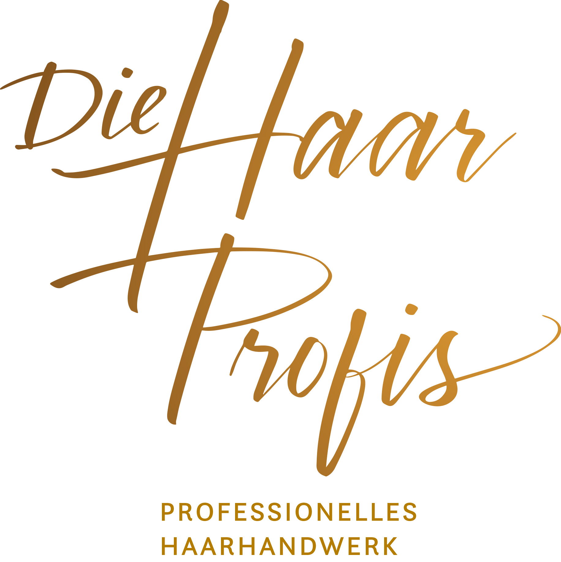 Bild von der Webseite von Die Haar-Profis