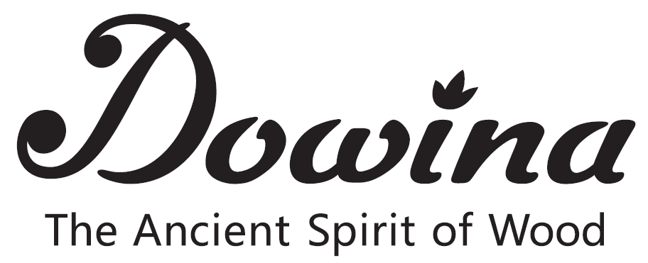 DOWINA_LOGO.webp
