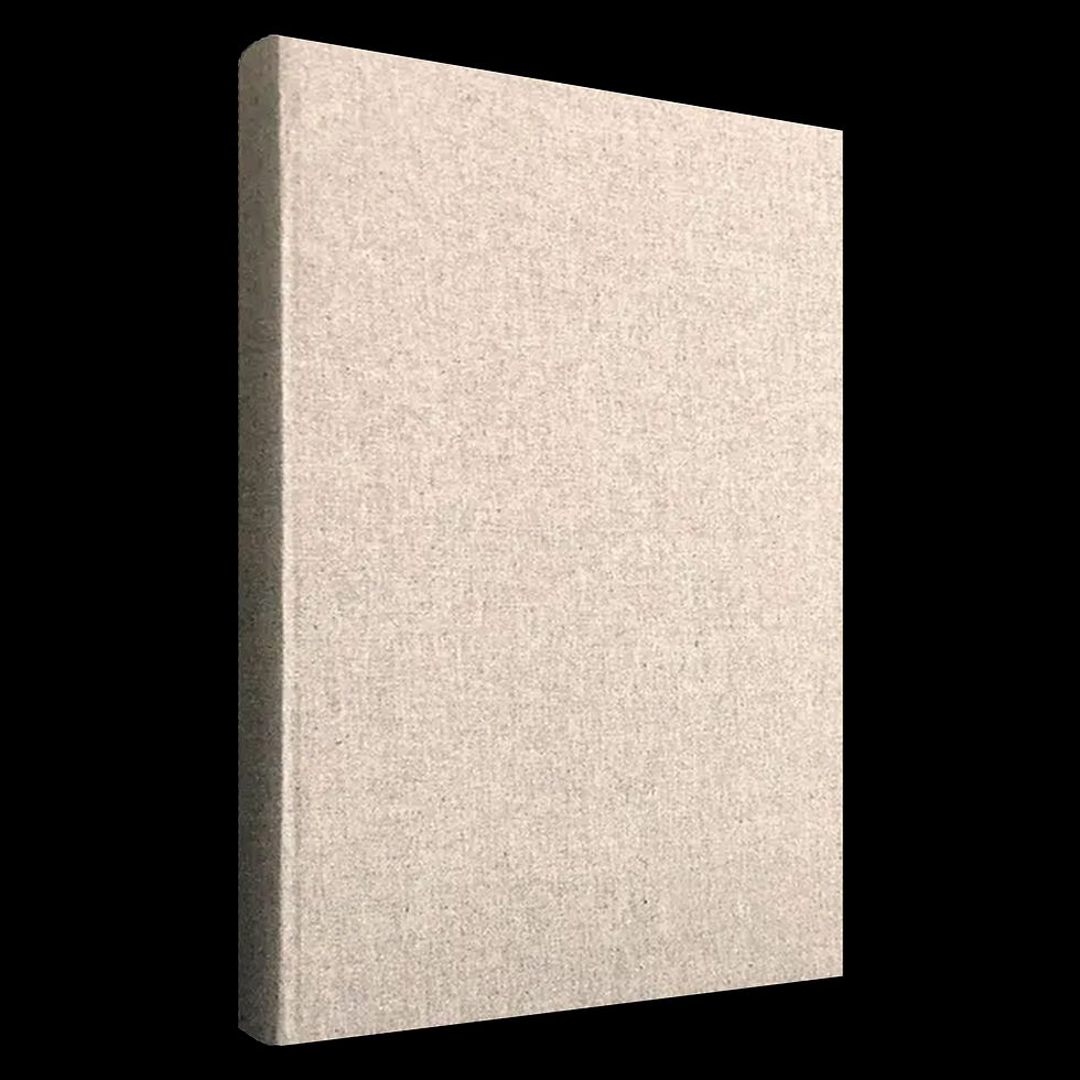 Thumbnail: Plush Slip-In Album