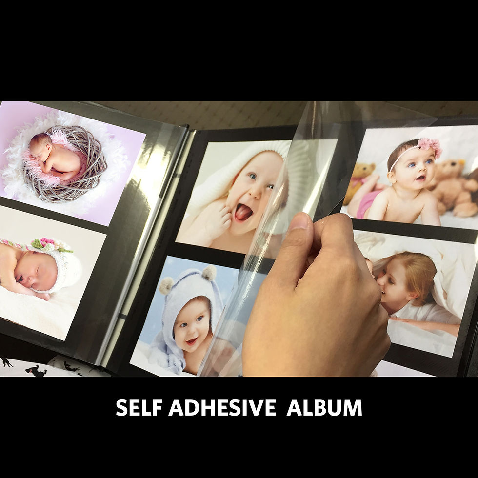 Thumbnail: Expandable Self Adhesive Album