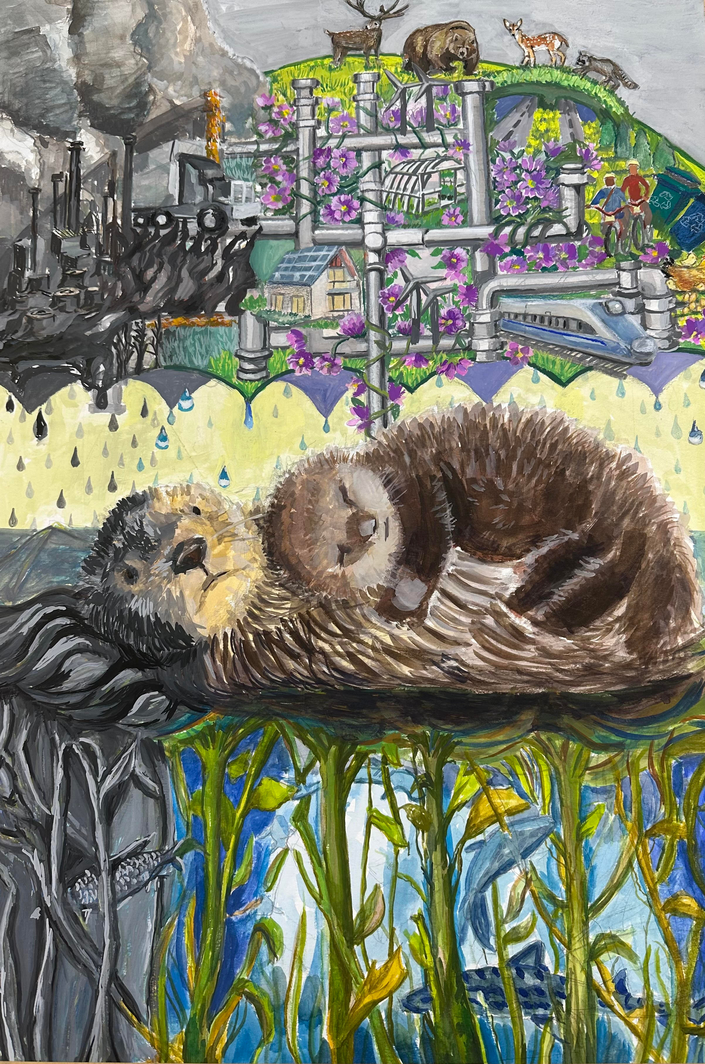 Environment and Immigration Card Set