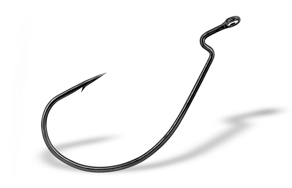 An EWG type fishing hook