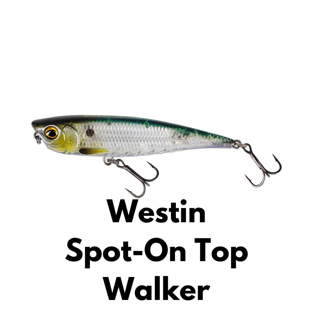 Westin Spot On Top Walker