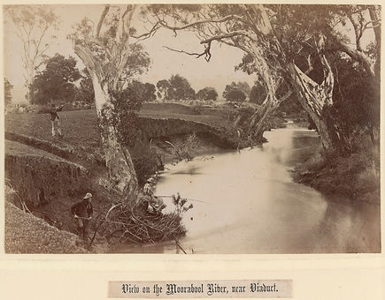 Fred Kruger, ca. 1882.jpeg