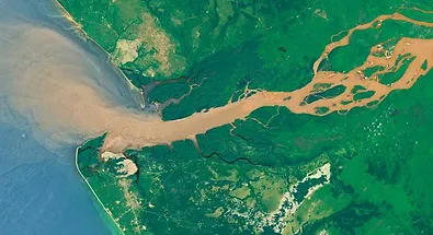 Congo Facts Savecongorainforest