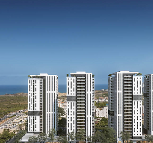 צילום מסך 2025-02-20 122005.png