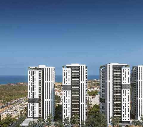 צילום מסך 2025-02-20 122005.png