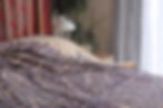 Quilts and Bedspreads