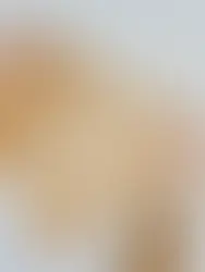 feuille morte en forme de coeur