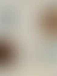 Le duo de designers dach&zephir célèbre le patrimoine artisanal créole