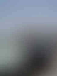 Essaouira vue port medina