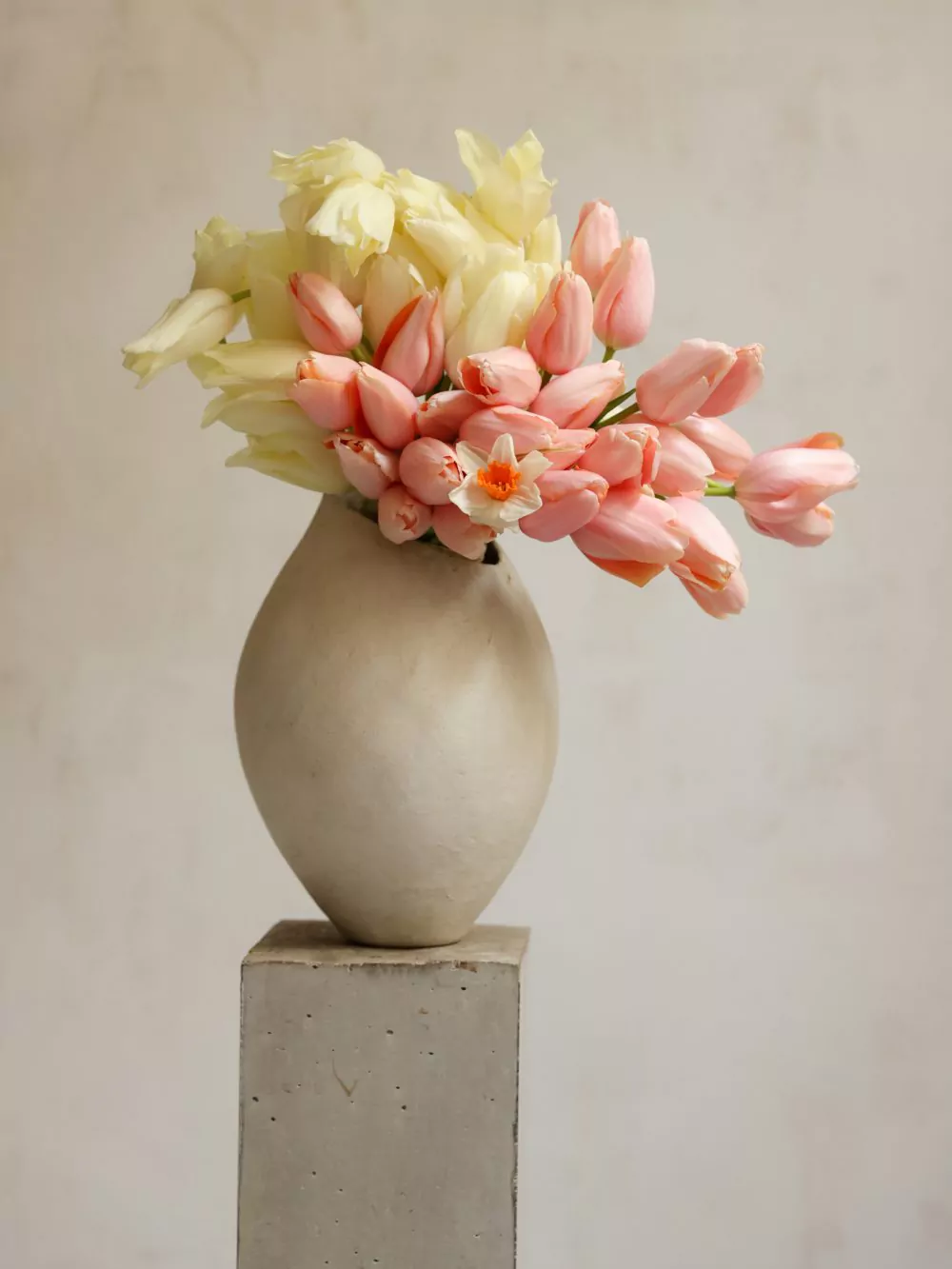 composition florale tulipes Castor Paris