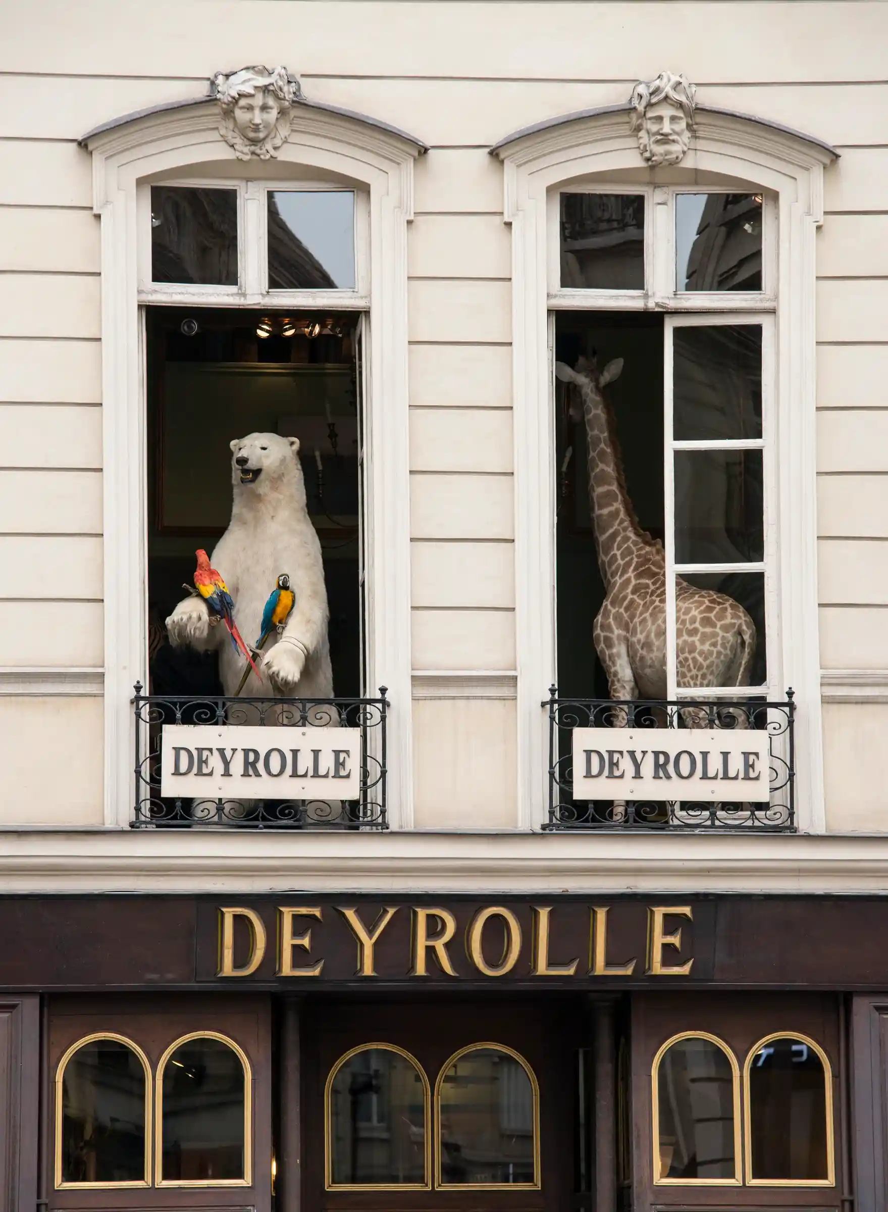 galerie boutique deyrolle a paris