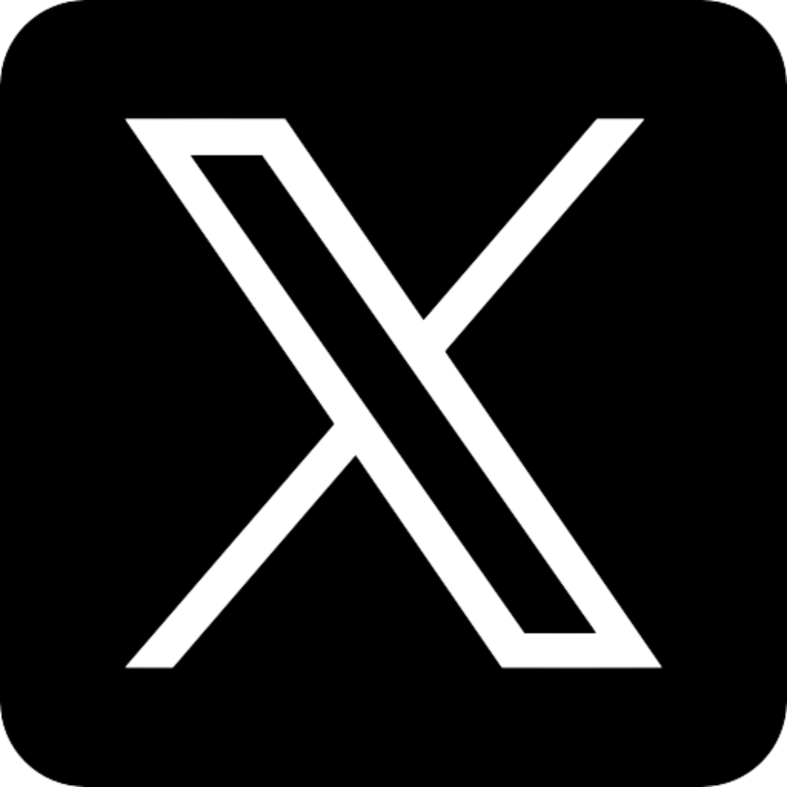 X Logo Footer