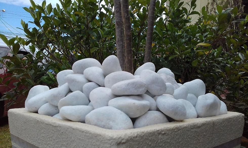 pedras-decorativas-para-jardim-20-kg-D_N