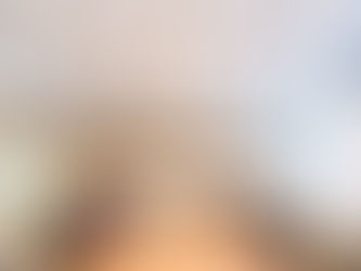 Why the Hub Model Works: Local Depth, Network-Wide Access