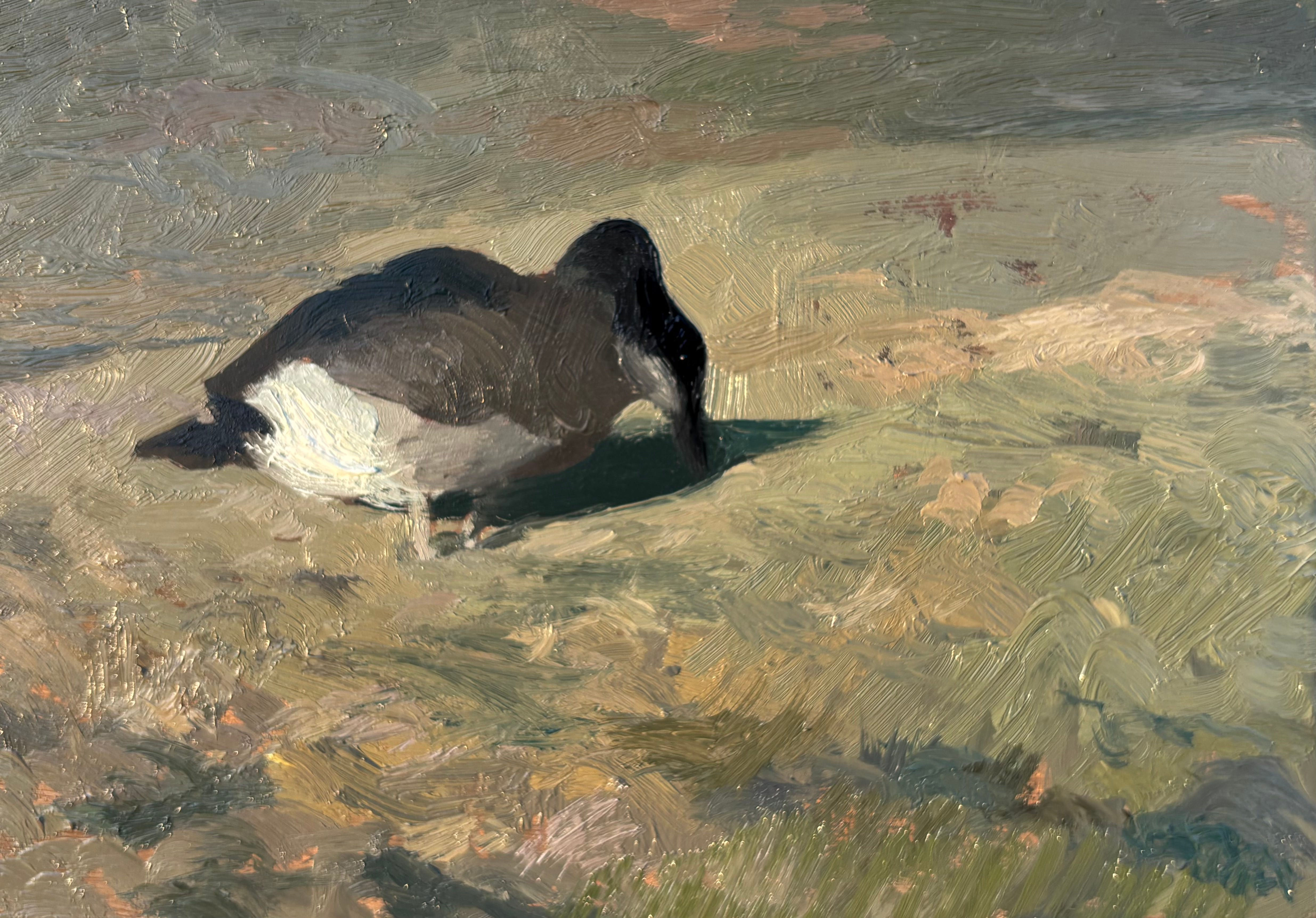 "Spring Goose" 4x6