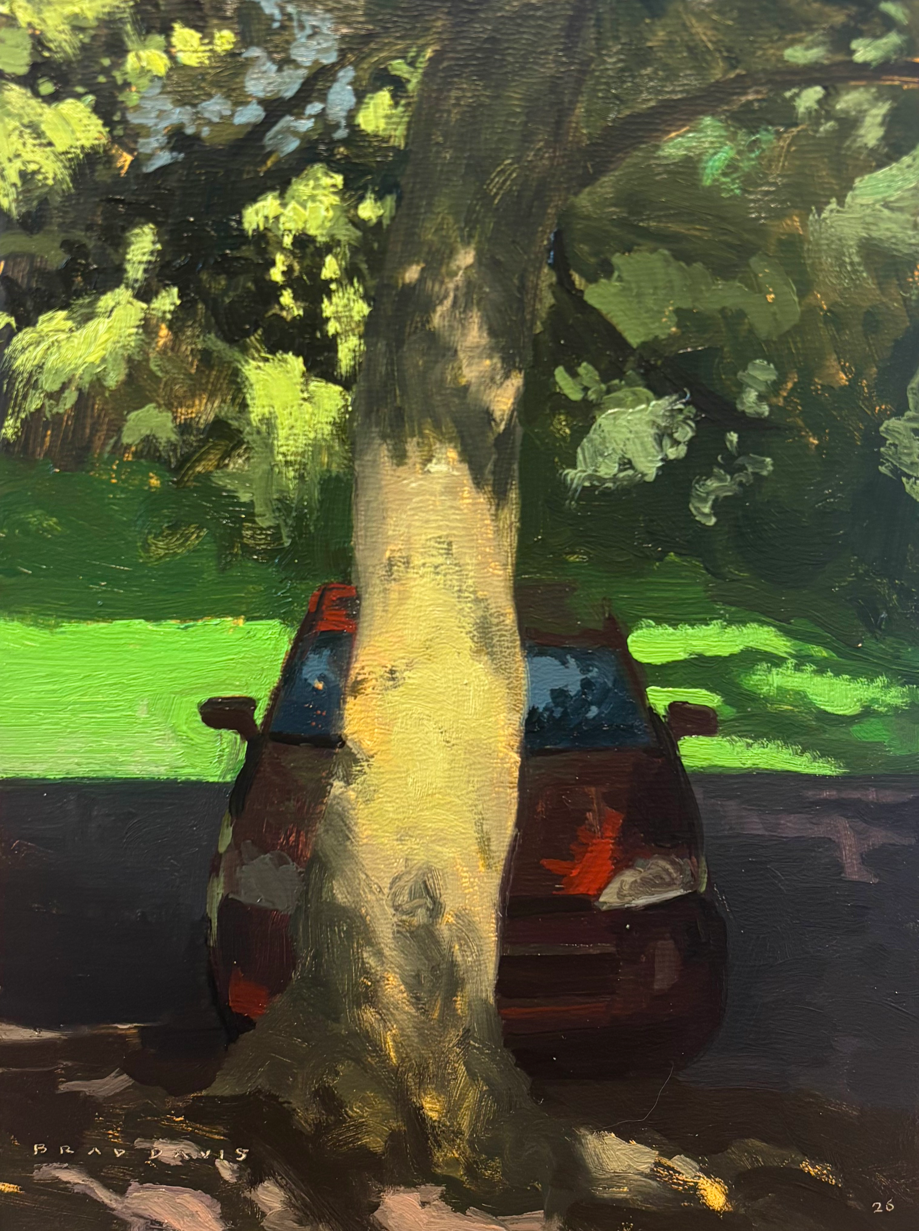 "Sycamore and Prius, Lindner Park"