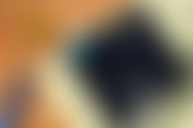 Understanding Special Assessments in Real Estate