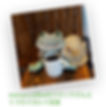 maruca coffee