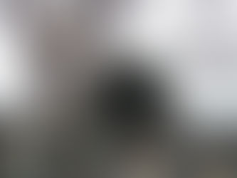 \ 新しいパン屋さんが登場します! /