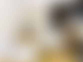 改装準備に入っています。