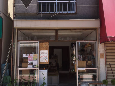 ゴーヤのカーテン。