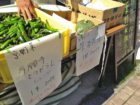 無農薬・無肥料野菜@イイトコマルシェ