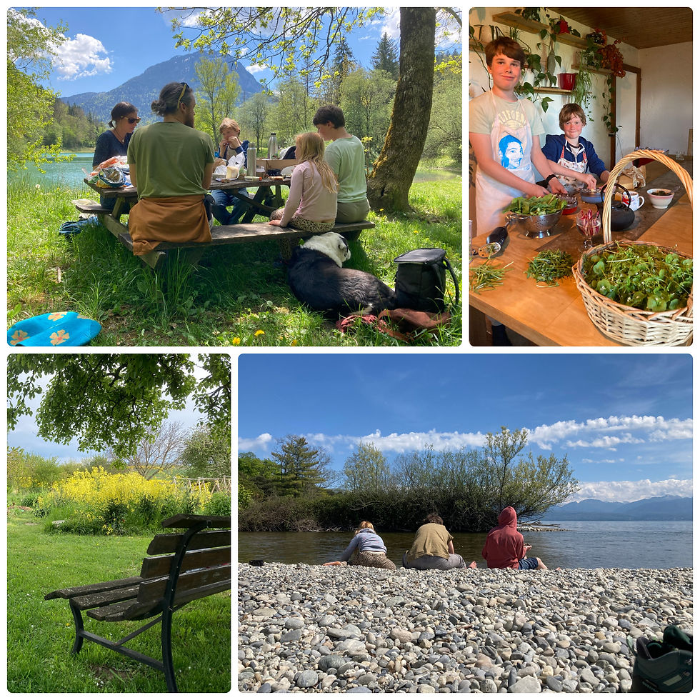 Pick nick with a mountain view, cooking for everyone in Switzerland and visiting lake Geneva one more time...