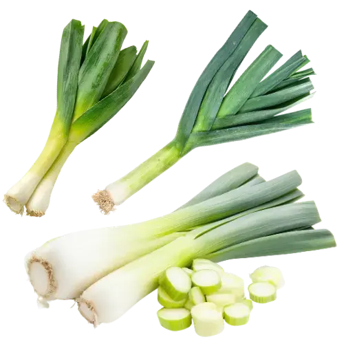 schöner grüner saftiger Lauch